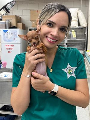 vet tech and pup vet tech and pup
