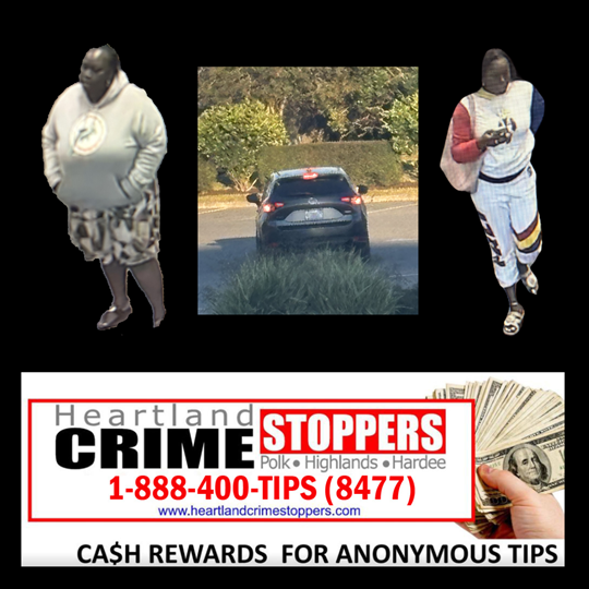 Publix liquor thefts Publix liquor thefts